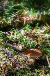 Similar image 21667972