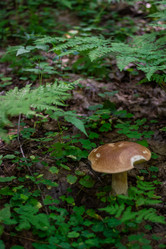 Similar image 21667973