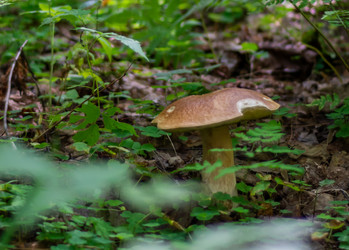 Similar image 21667974