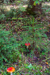 Similar image 21664043