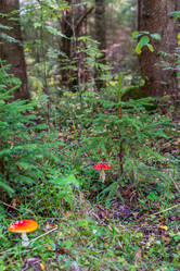 Similar image 21664044