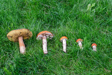 Similar image 21663094