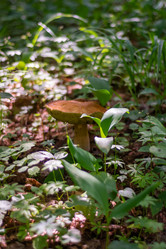 Similar image 21663095