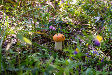 Similar image 21663097