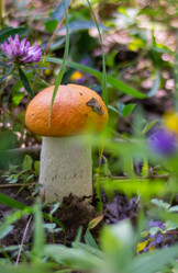 Similar image 21663100