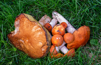 Similar image 21663101