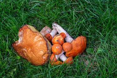 Similar image 21663103