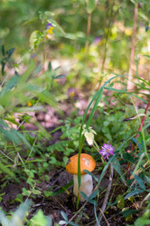 Similar image 21663104