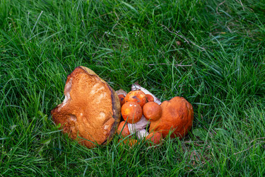 Similar image 21663105