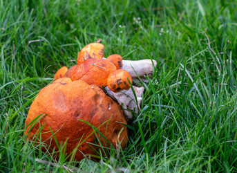 Similar image 21663107