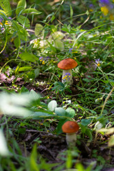 Similar image 21663108