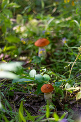 Similar image 21663109