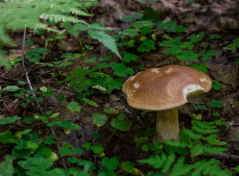 Similar image 21667975