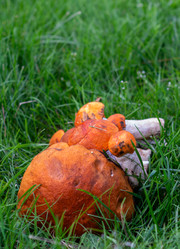 Similar image 21663111