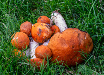 Similar image 21663113