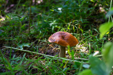 Similar image 21663114