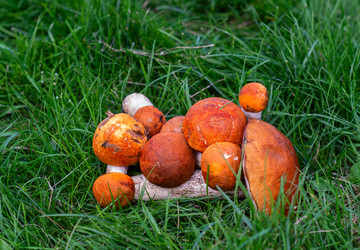 Similar image 21663115