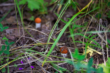 Similar image 21663116