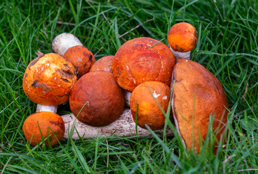 Similar image 21663117