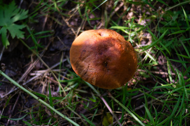 Similar image 21663118