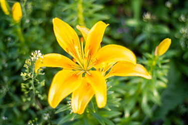 Similar image 21663120