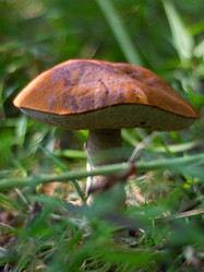 Similar image 21663121