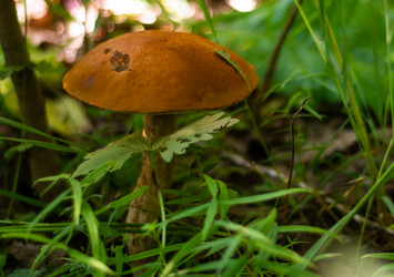 Similar image 21663122