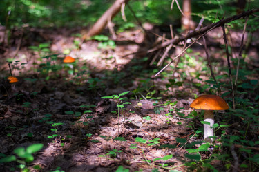 Similar image 21663124