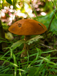 Similar image 21663125