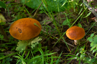 Similar image 21663126