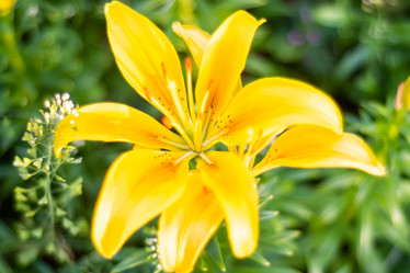 Similar image 21663128