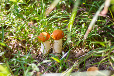 Similar image 21663129