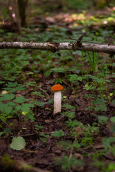 Similar image 21663132