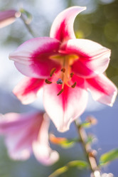 Similar image 21663133