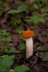 Similar image 21663134