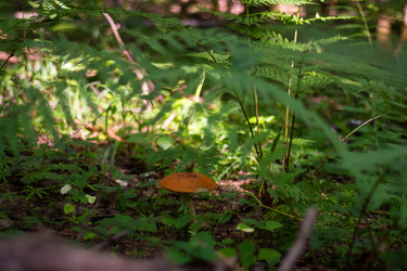 Similar image 21663135