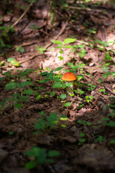 Similar image 21663136