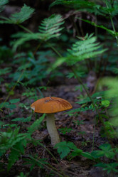 Similar image 21663137