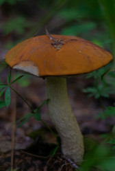 Similar image 21663138