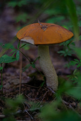 Similar image 21663139