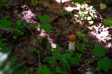 Similar image 21663140