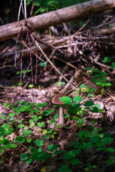 Similar image 21664045