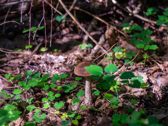 Similar image 21664046