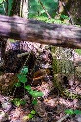 Similar image 21665381