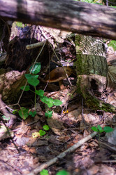 Similar image 21665382