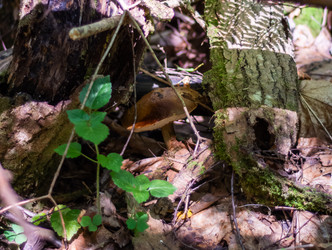 Similar image 21665383