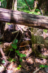 Similar image 21665384