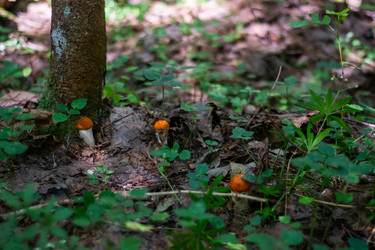 Similar image 21663141