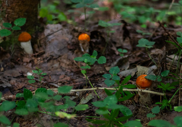 Similar image 21663142