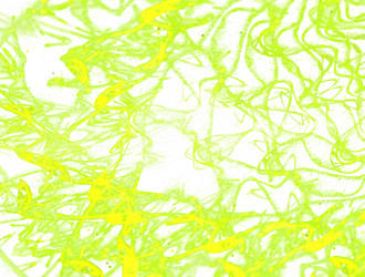 Similar image 21666472